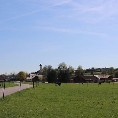 Ferienwohnung Pferdehof Pankratz Iffeldorf Eksteriør bilde