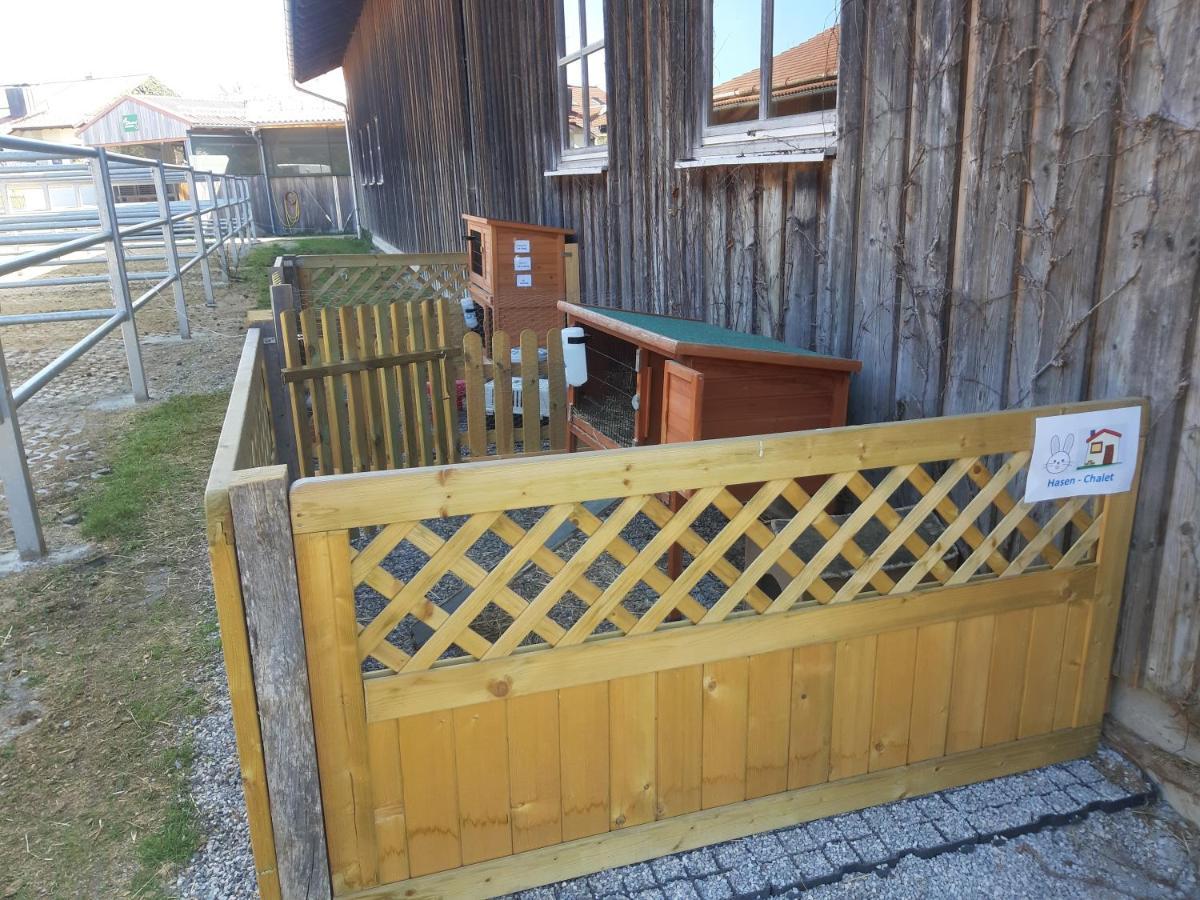 Ferienwohnung Pferdehof Pankratz Iffeldorf Eksteriør bilde